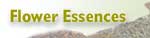 Flower Essences Flower Essences