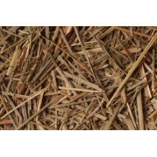 Lemon Grass per lb Lemon Grass per lb