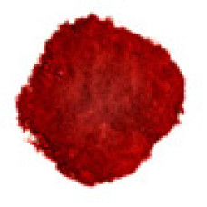 Beet Root Powder per lb