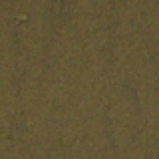 Angelica Powder per lb