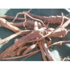 May Apple (American Mandrake) per lb May Apple (American Mandrake) per lb