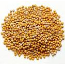 Mustard Seed- Yellow Whole per lb Mustard Seed- Yellow Whole per lb