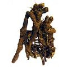 Osha Root Whole per lb Osha Root Whole per lb