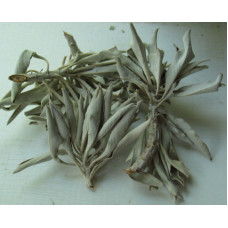 Sage- from california per oz