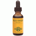 Blue Vervain 1 fl oz
