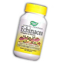 Echinacea w/Astragalus and Reishi 100 cap