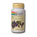 Borage Seed Oil 240 mg GLA 50 softgel